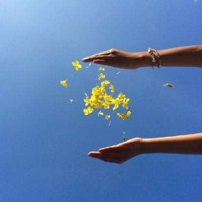 索尼和本田暂停电动汽车合资项目