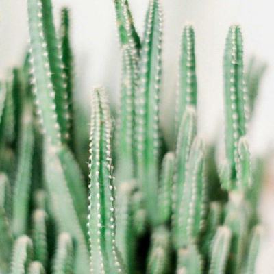 中船科技股份有限公司关于子公司涉及诉讼再审发回后二审结果公告